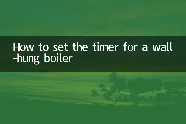 Как установить таймер для настенного котла