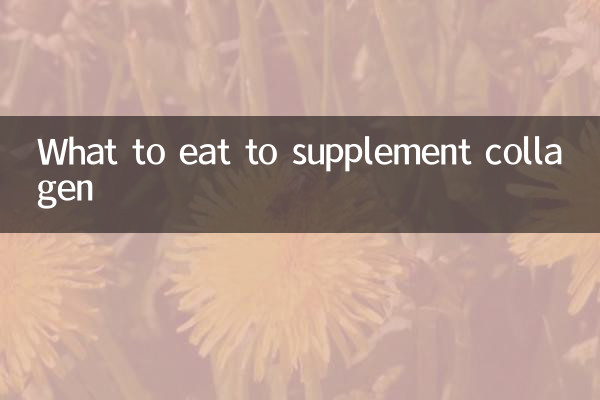 ماذا نأكل لتكملة الكولاجين