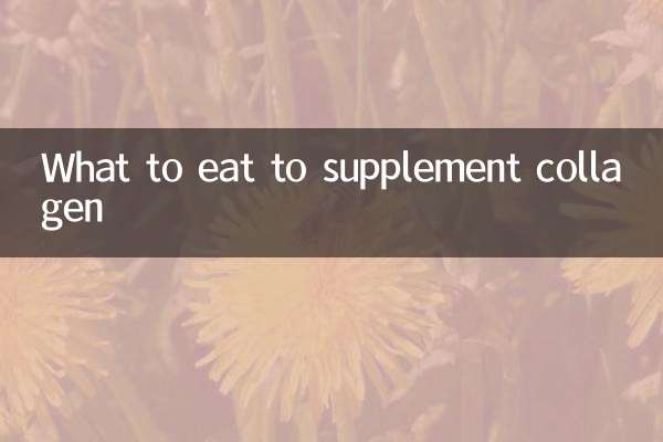 ماذا نأكل لتكملة الكولاجين