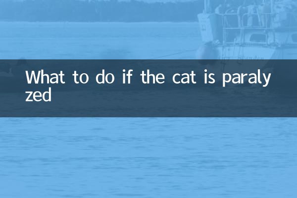 ماذا تفعل إذا أصيبت القطة بالشلل