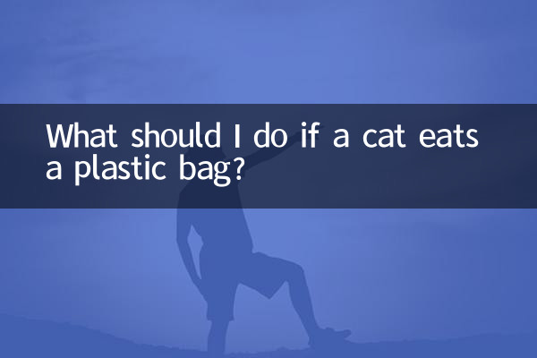¿Qué debo hacer si un gato se come una bolsa de plástico?