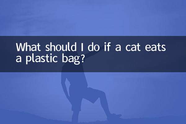 What should I do if a cat eats a plastic bag?