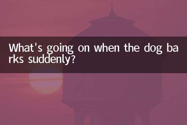 جب کتا اچانک بھونکتا ہے تو کیا ہو رہا ہے؟