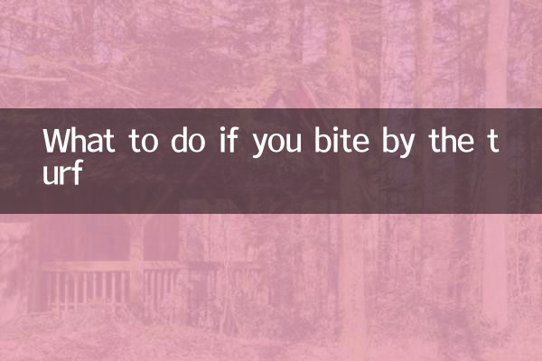 What to do if you bite by the turf