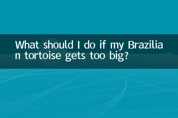 Cosa devo fare se la mia tartaruga brasiliana diventa troppo grande?