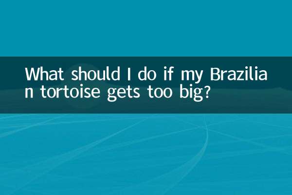 O que devo fazer se minha tartaruga brasileira ficar muito grande?