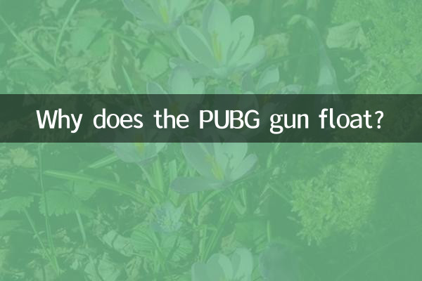 چرا اسلحه PUBG شناور است؟
