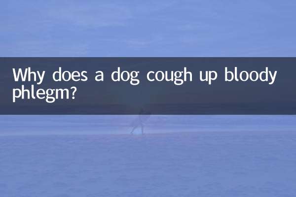 Por que um cachorro tosse com catarro com sangue?