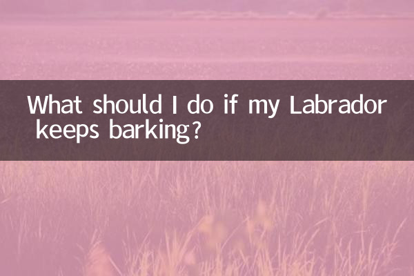 Cosa devo fare se il mio Labrador continua ad abbaiare?