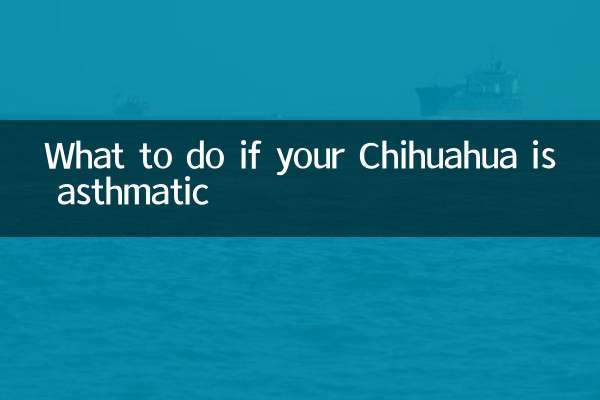 Qué hacer si tu chihuahua es asmático