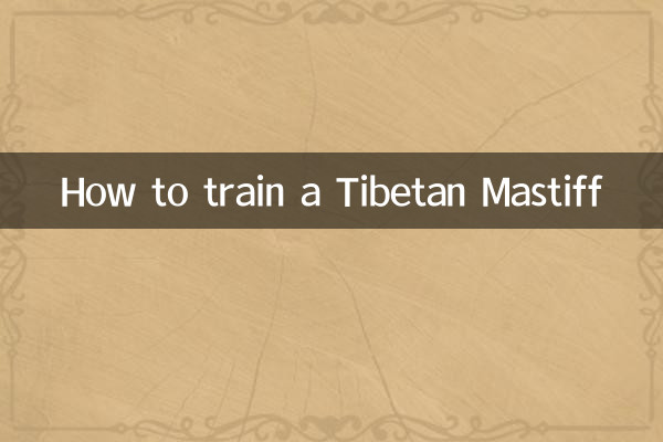 Come addestrare un mastino tibetano