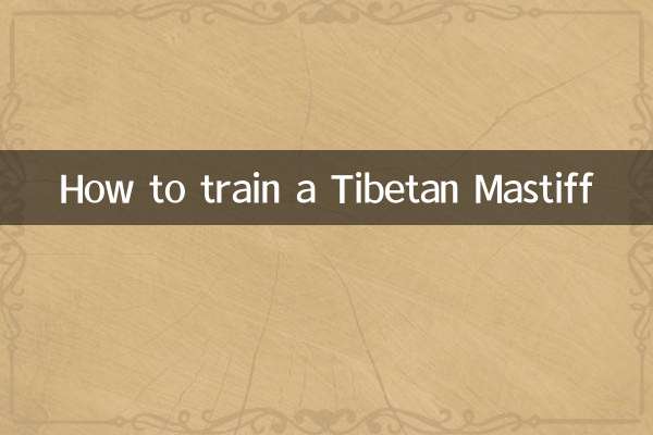 Come addestrare un mastino tibetano
