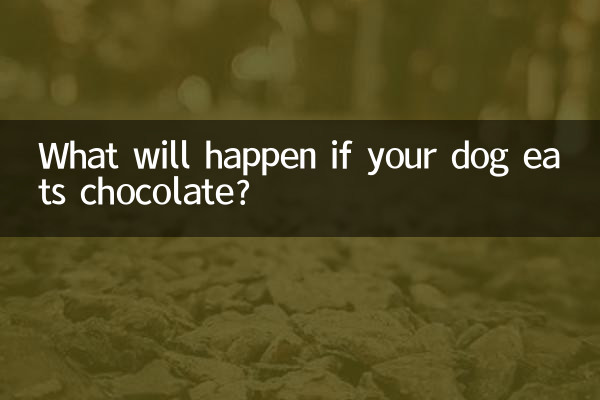 আপনার কুকুর যদি চকলেট খায় তাহলে কি হবে?