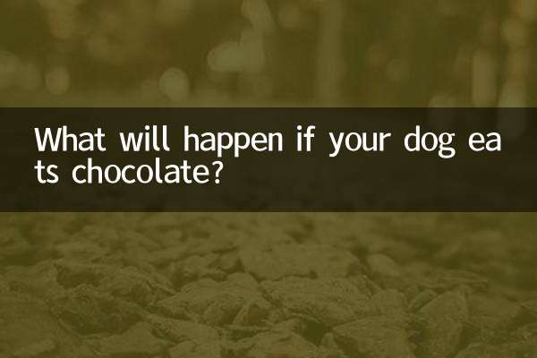 O que acontecerá se seu cachorro comer chocolate?