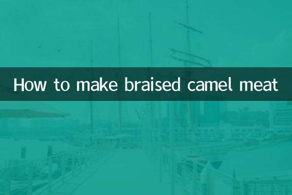 卤骆驼肉怎么做