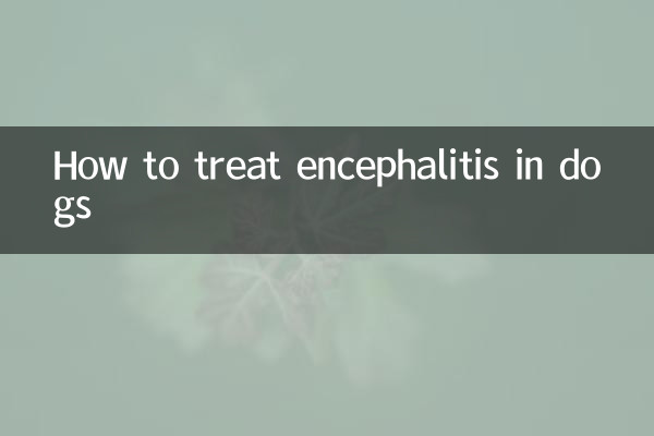 How to treat encephalitis in dogs