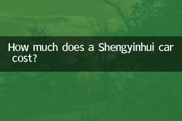How much does a Shengyinhui car cost?
