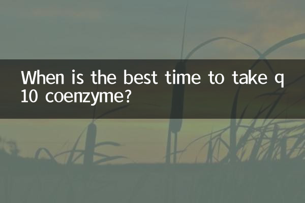 q10辅酶什么时间吃好
