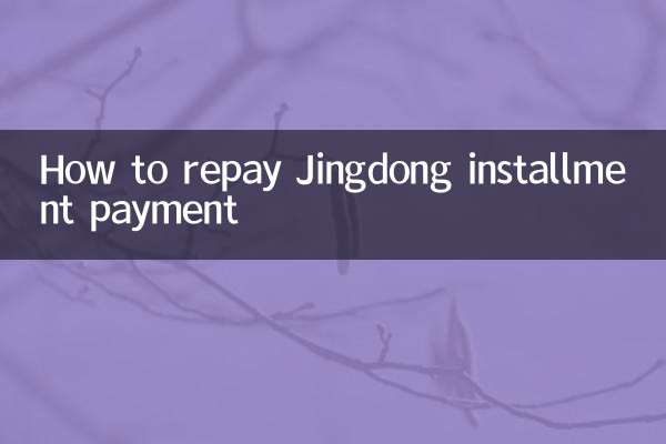 Come rimborsare il pagamento rateale Jingdong