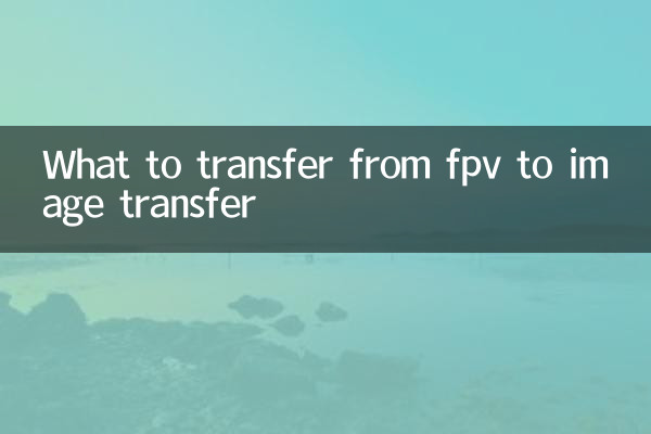 fpvから画像転送に何を転送するか