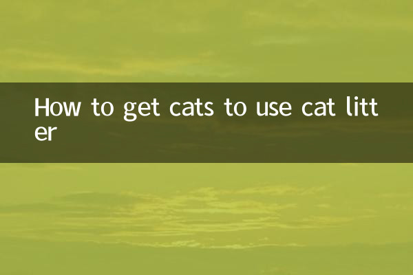 बिल्लियों को बिल्ली के कूड़े का उपयोग करने के लिए कैसे प्रेरित करें