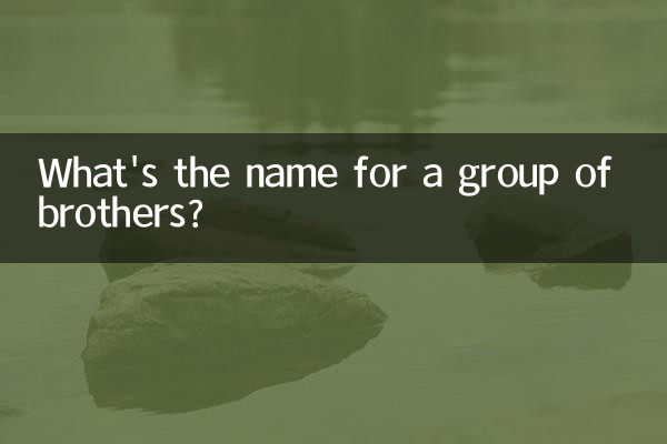 兄弟グループの名前は何ですか?