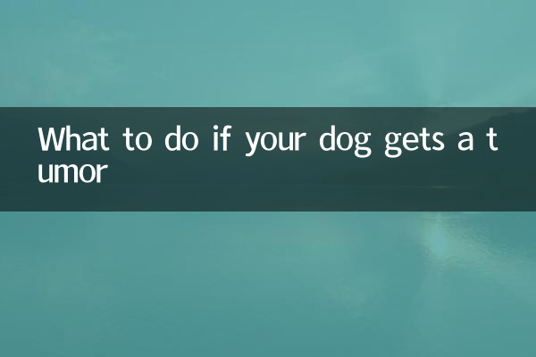 犬に腫瘍ができたらどうするか