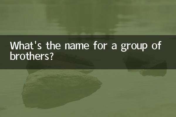 একদল ভাইয়ের নাম কি?