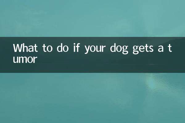 犬に腫瘍ができたらどうするか