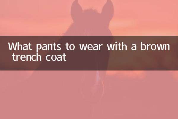 브라운 트렌치코트에 어떤 바지를 입을까
