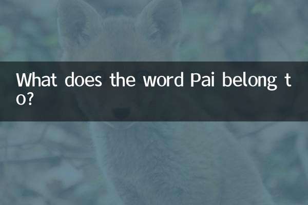 Wozu gehört das Wort Pai?