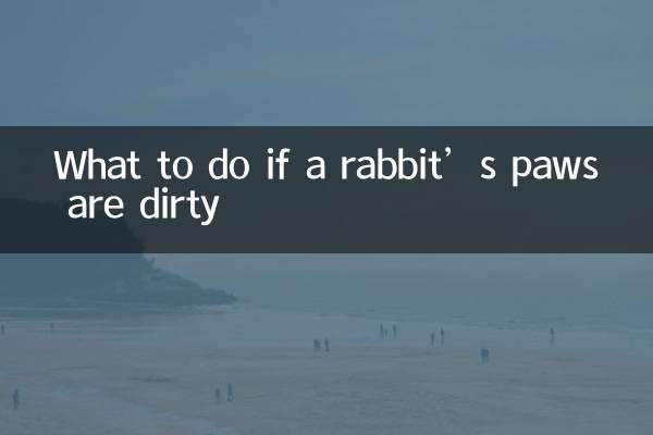 兔子爪子脏怎么办