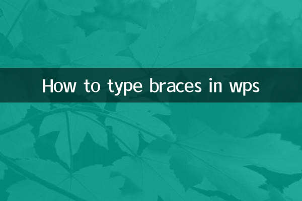 Cómo escribir llaves en wps