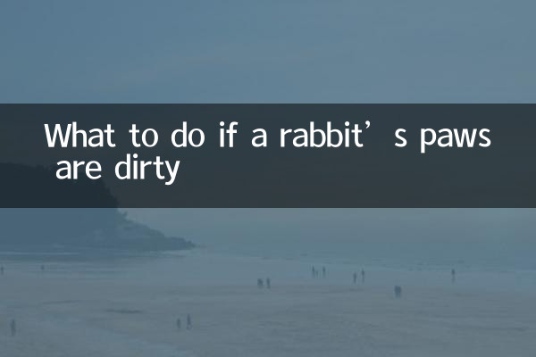 兔子爪子脏怎么办