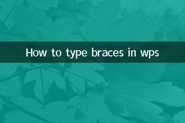 Cómo escribir llaves en wps