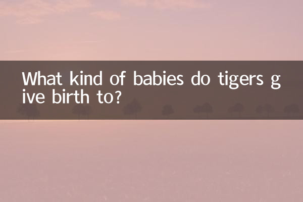 What kind of babies do tigers give birth to?
