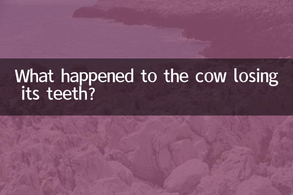 이빨 빠진 소에게 무슨 일이 있었던 걸까요?