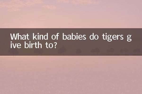 What kind of babies do tigers give birth to?