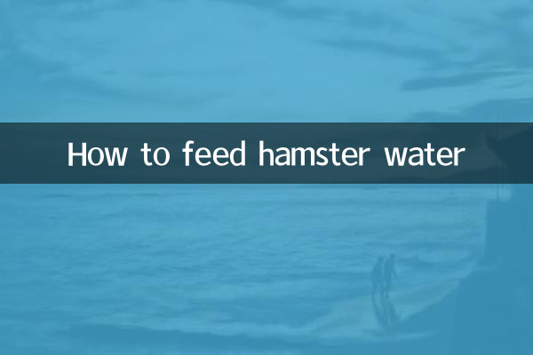 ہیمسٹر پانی کو کیسے کھانا کھلانا ہے
