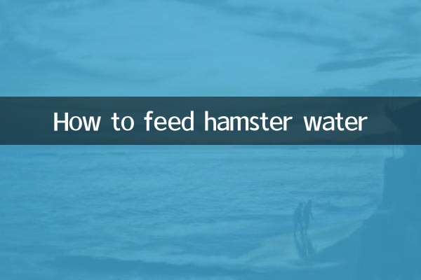 ہیمسٹر پانی کو کیسے کھانا کھلانا ہے