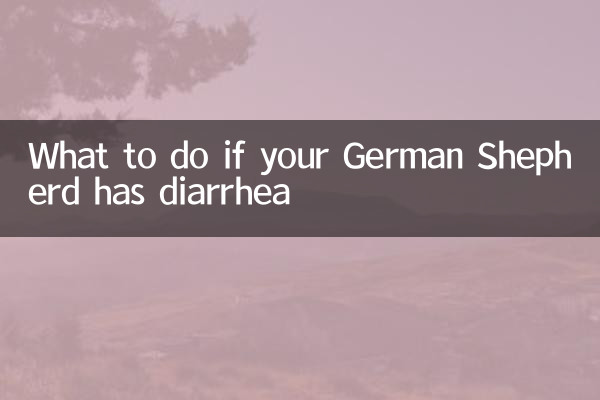 Que faire si votre berger allemand a la diarrhée