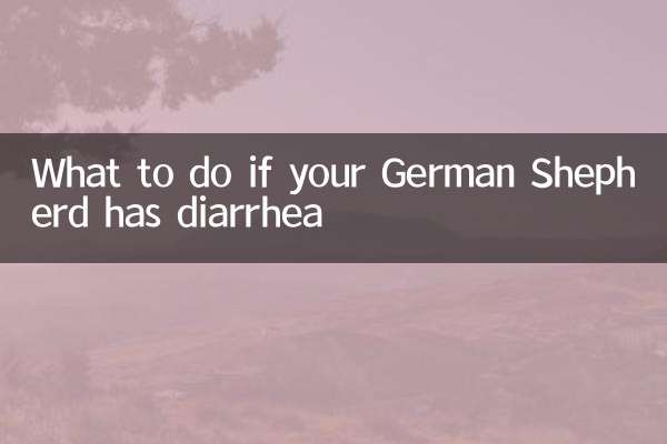 اگر آپ کے جرمن شیفرڈ میں اسہال ہو تو کیا کریں