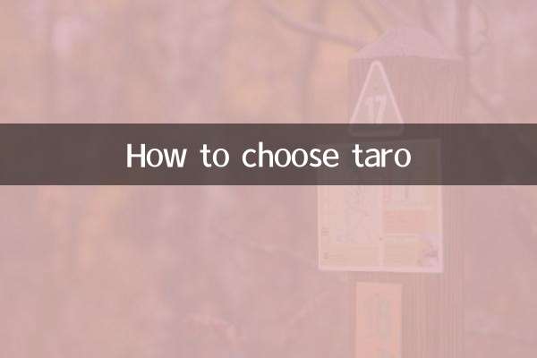 타로를 선택하는 방법