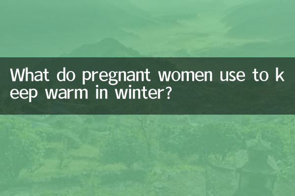 임산부는 겨울에 따뜻하게 지내기 위해 무엇을 사용합니까?