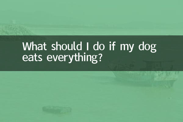 Что делать, если моя собака ест все?