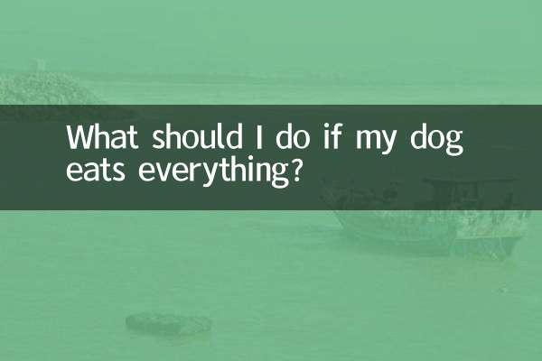 अगर मेरा कुत्ता सब कुछ खा ले तो मुझे क्या करना चाहिए?