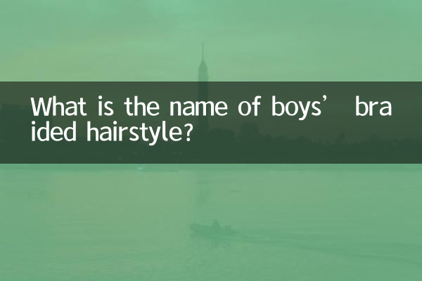 男の子の三つ編みヘアスタイルの名前は何ですか?