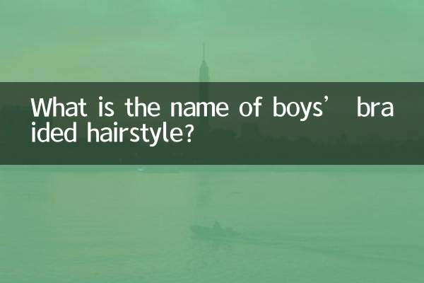 男の子の三つ編みヘアスタイルの名前は何ですか?