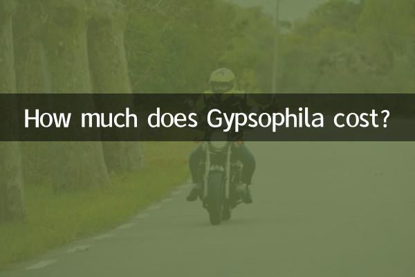 Wie viel kostet Schleierkraut?