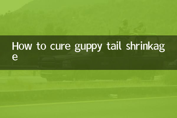 So heilen Sie das Schrumpfen des Guppy-Schwanzes
